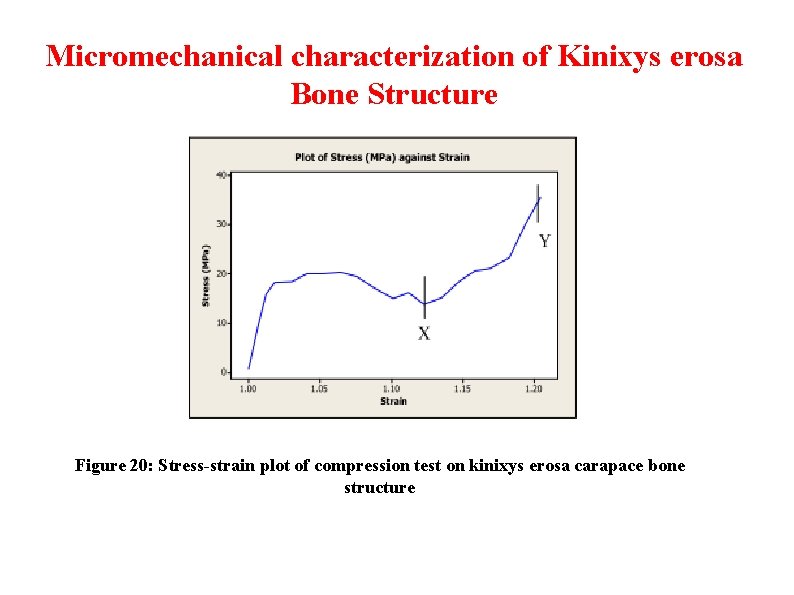 Micromechanical characterization of Kinixys erosa Bone Structure Figure 20: Stress-strain plot of compression test