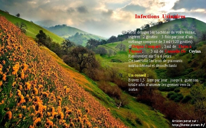 Infections Urinaires Pour déloger les bactéries de votre vessie, ingérez 2 gouttes 3 fois