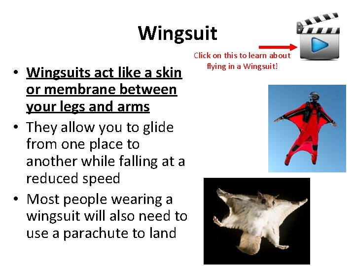 Wingsuit • Wingsuits act like a skin or membrane between your legs and arms