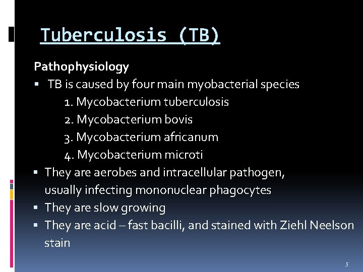 Tuberculosis (TB) Pathophysiology TB is caused by four main myobacterial species 1. Mycobacterium tuberculosis