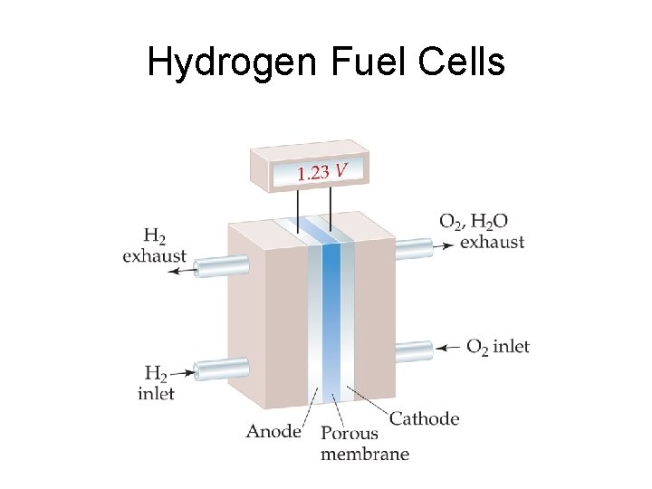 Hydrogen Fuel Cells 