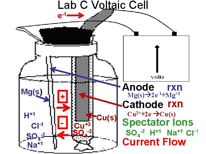 Lab C Voltaic Cell e-1 Mg(s) H+1 Cl-1 SO 4 -2 Na+1 Anode Mg(s)