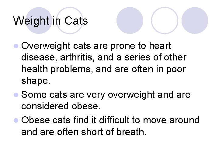 Weight in Cats l Overweight cats are prone to heart disease, arthritis, and a