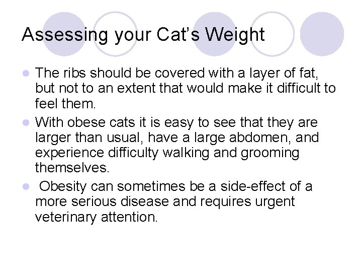 Assessing your Cat’s Weight The ribs should be covered with a layer of fat,