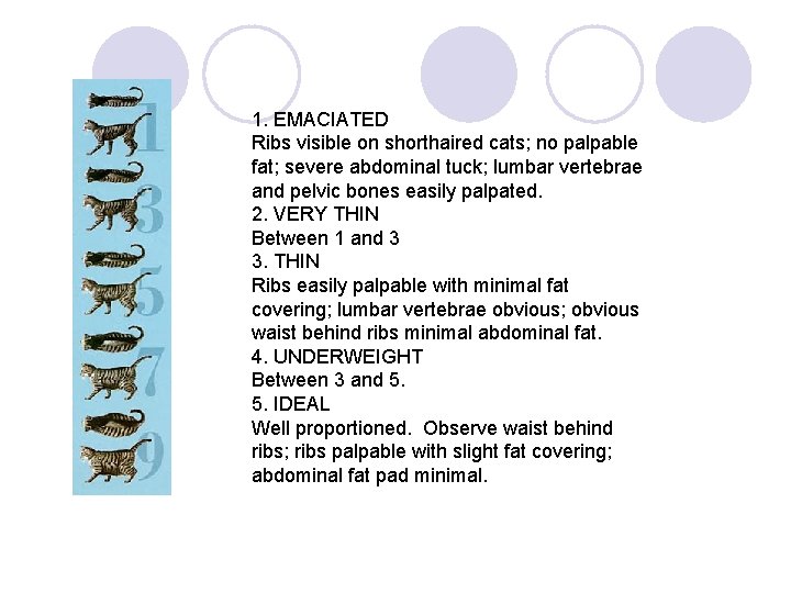 1. EMACIATED Ribs visible on shorthaired cats; no palpable fat; severe abdominal tuck; lumbar