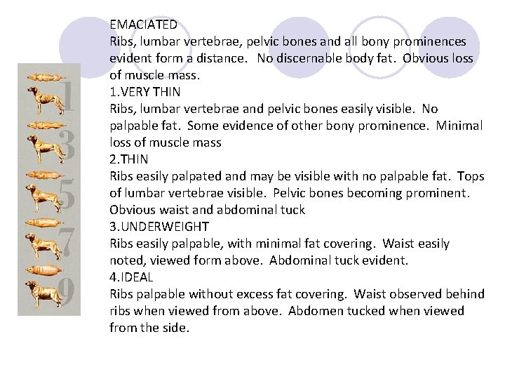 EMACIATED Ribs, lumbar vertebrae, pelvic bones and all bony prominences evident form a distance.