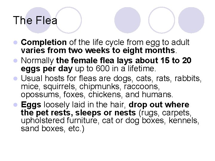 The Flea Completion of the life cycle from egg to adult varies from two