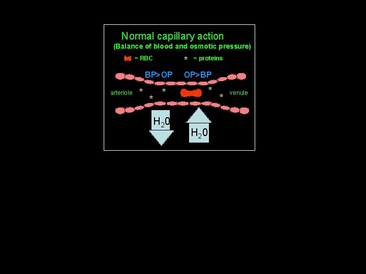 Normal capillary action (Balance of blood and osmotic pressure) = RBC * BP>OP arteriole