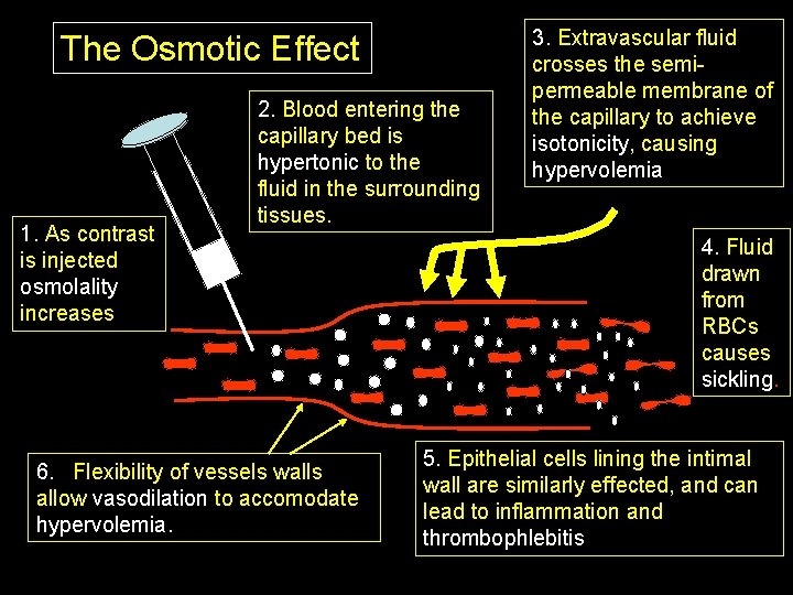 The Osmotic Effect 1. As contrast is injected osmolality increases 2. Blood entering the