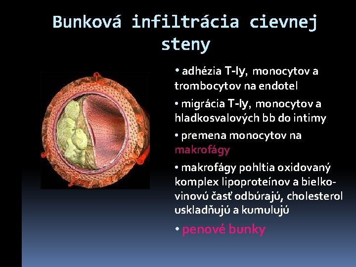 Bunková infiltrácia cievnej steny • adhézia T-ly, monocytov a trombocytov na endotel • migrácia