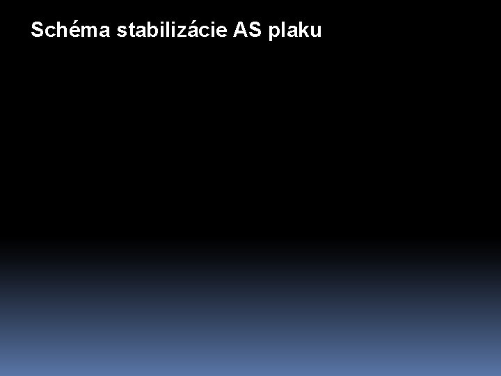 Schéma stabilizácie AS plaku 