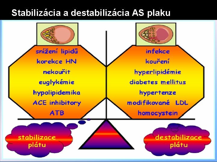 Stabilizácia a destabilizácia AS plaku 