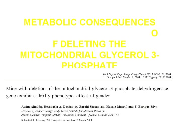 METABOLIC CONSEQUENCES O F DELETING THE MITOCHONDRIAL GLYCEROL 3 PHOSPHATE DEHYDROGENASE GENE IN MICE