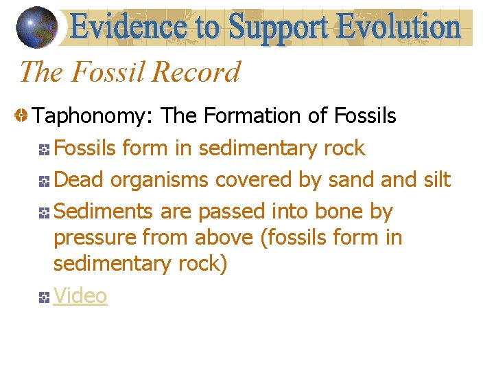 The Fossil Record Taphonomy: The Formation of Fossils form in sedimentary rock Dead organisms