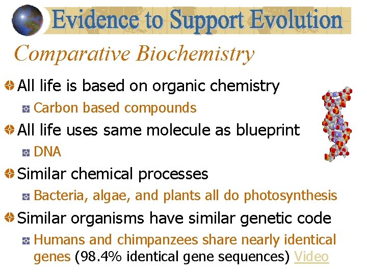 Comparative Biochemistry All life is based on organic chemistry Carbon based compounds All life