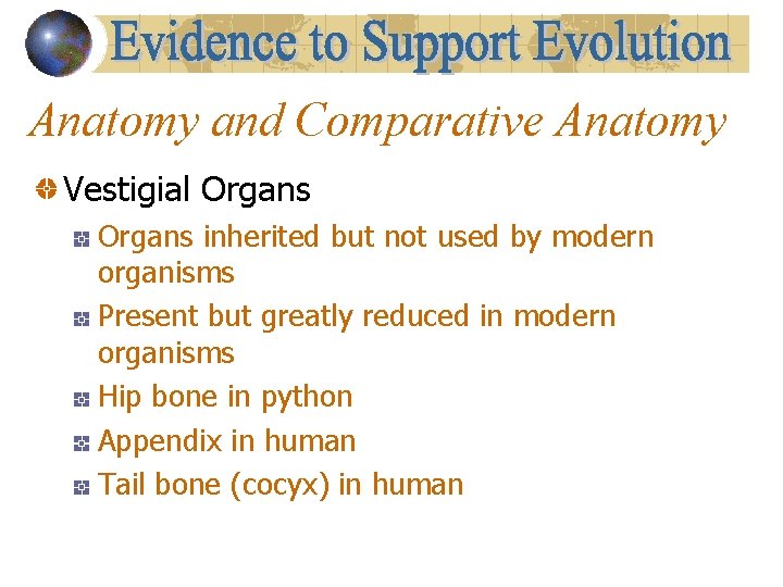 Anatomy and Comparative Anatomy Vestigial Organs inherited but not used by modern organisms Present