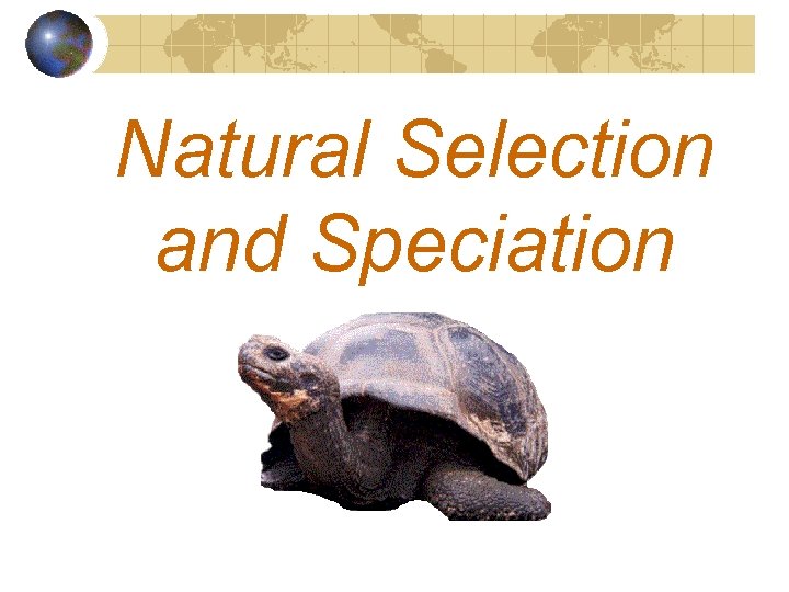 Natural Selection and Speciation 