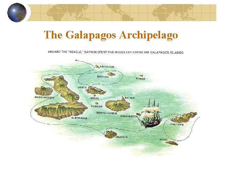 The Galapagos Archipelago 