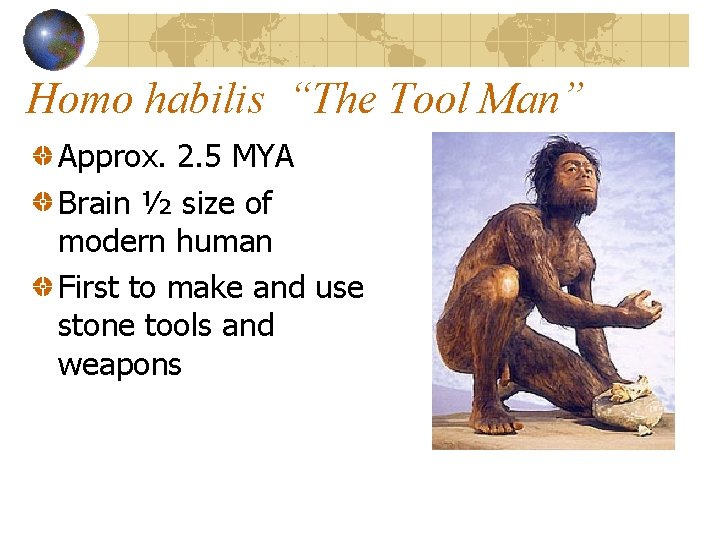 Homo habilis “The Tool Man” Approx. 2. 5 MYA Brain ½ size of modern