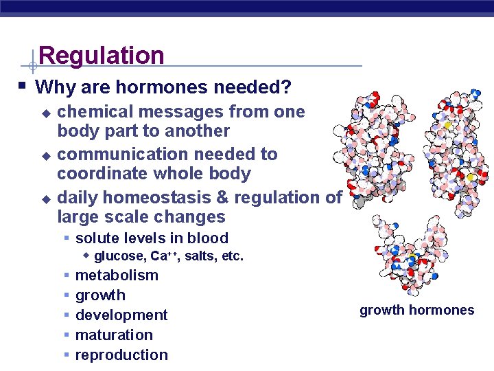 Regulation § Why are hormones needed? chemical messages from one body part to another