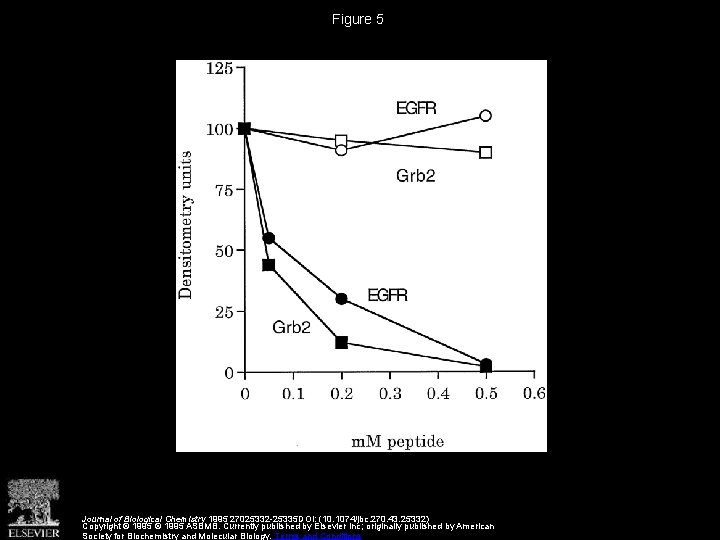 Figure 5 Journal of Biological Chemistry 1995 27025332 -25335 DOI: (10. 1074/jbc. 270. 43.