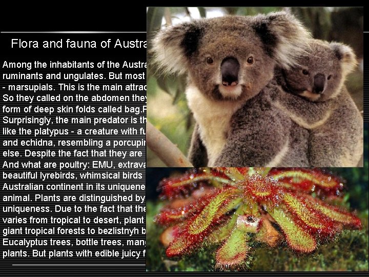 Flora and fauna of Australia Among the inhabitants of the Australian fauna no monkeys,