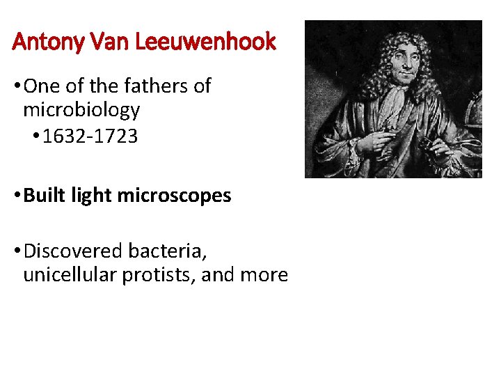 Antony Van Leeuwenhook • One of the fathers of microbiology • 1632 -1723 •