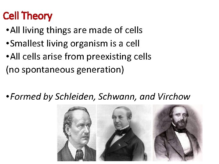 Cell Theory • All living things are made of cells • Smallest living organism