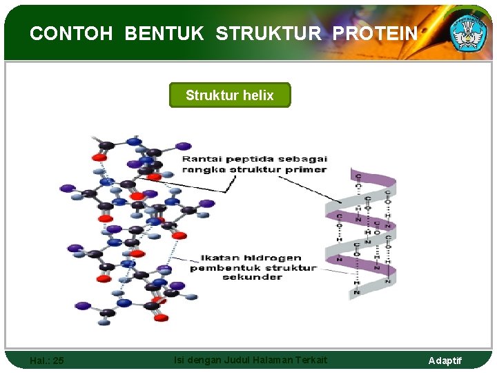 CONTOH BENTUK STRUKTUR PROTEIN Struktur helix Hal. : 25 Isi dengan Judul Halaman Terkait