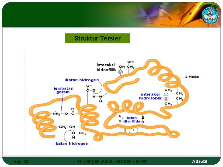 Struktur Tersier Hal. : 28 Isi dengan Judul Halaman Terkait Adaptif 