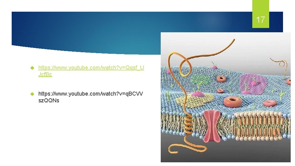 17 https: //www. youtube. com/watch? v=Qqsf_U Jcf. Bc https: //www. youtube. com/watch? v=q. BCVV