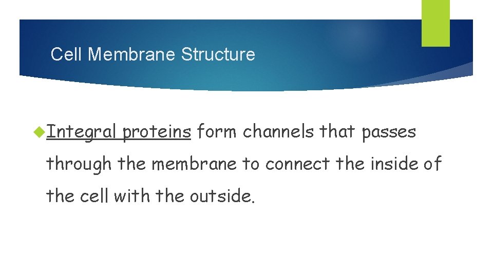 Cell Membrane Structure Integral proteins form channels that passes through the membrane to connect