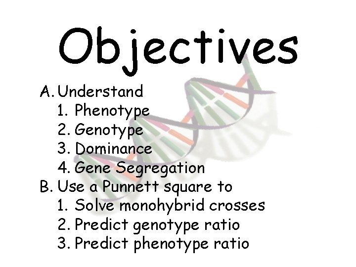 Objectives A. Understand 1. Phenotype 2. Genotype 3. Dominance 4. Gene Segregation B. Use
