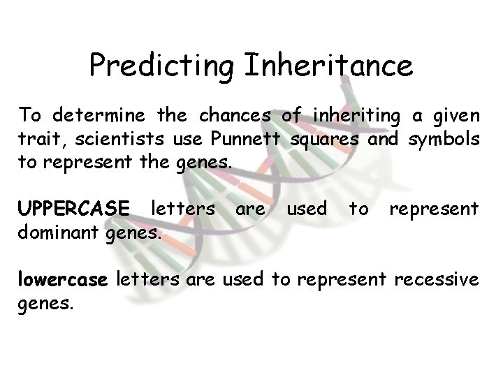 Predicting Inheritance To determine the chances of inheriting a given trait, scientists use Punnett