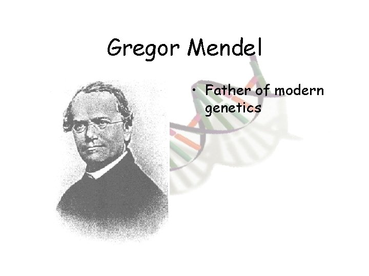 Gregor Mendel • Father of modern genetics 