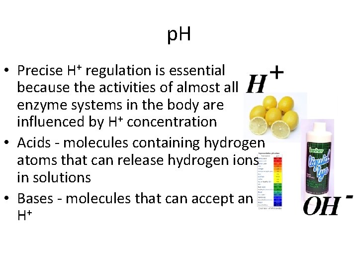 p. H • Precise H+ regulation is essential because the activities of almost all