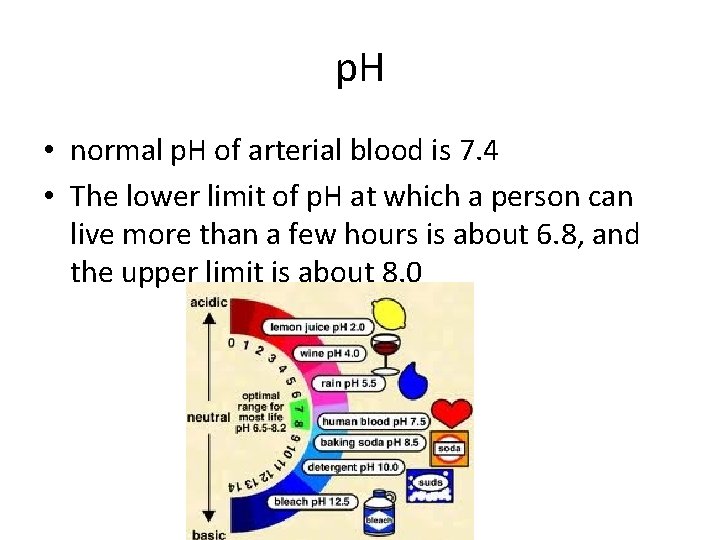 p. H • normal p. H of arterial blood is 7. 4 • The