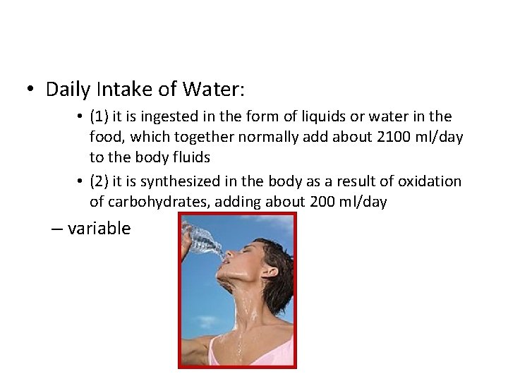  • Daily Intake of Water: • (1) it is ingested in the form