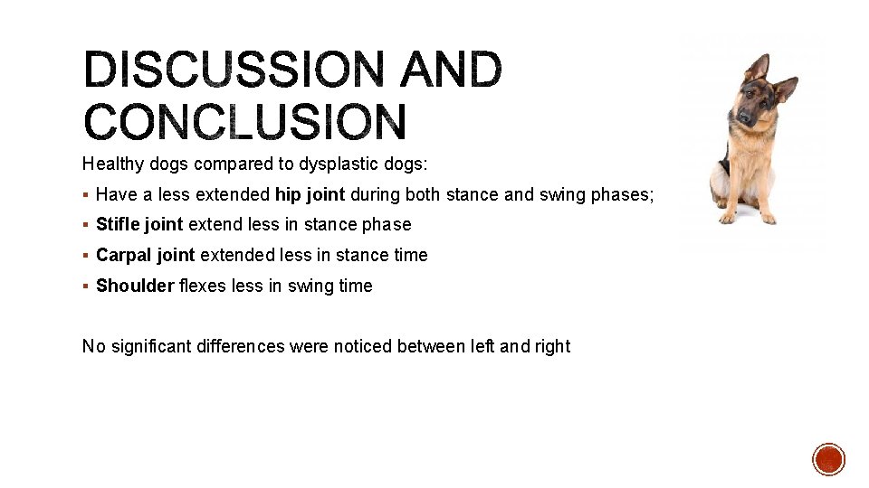 Healthy dogs compared to dysplastic dogs: § Have a less extended hip joint during