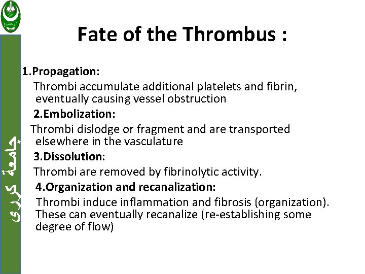 Fate of the Thrombus : ﺟﺎﻣﻌﺔ ﻛﺮﺭﻱ 1. Propagation: Thrombi accumulate additional platelets and