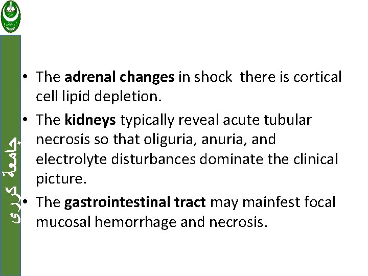  ﺟﺎﻣﻌﺔ ﻛﺮﺭﻱ • The adrenal changes in shock there is cortical cell lipid