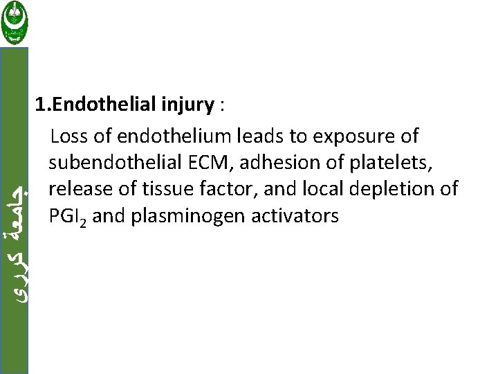  ﺟﺎﻣﻌﺔ ﻛﺮﺭﻱ 1. Endothelial injury : Loss of endothelium leads to exposure of