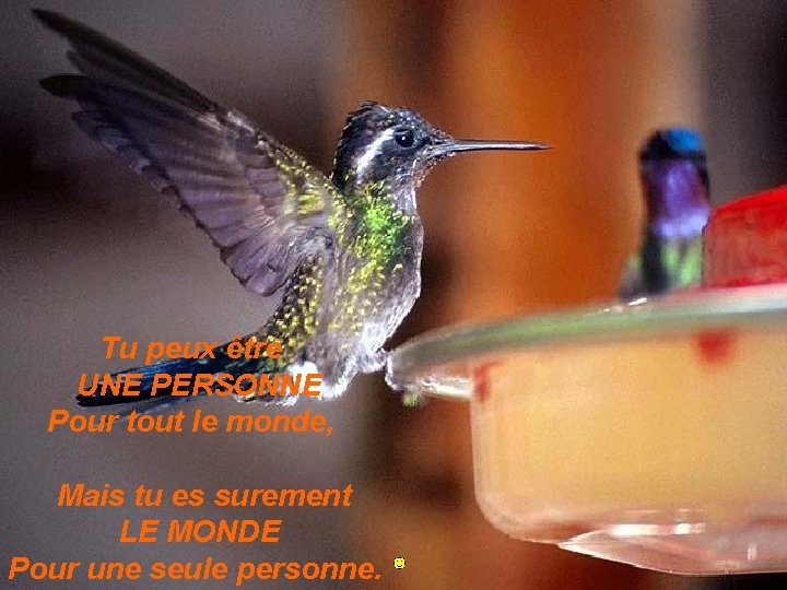 Tu peux être UNE PERSONNE Pour tout le monde, Mais tu es surement LE