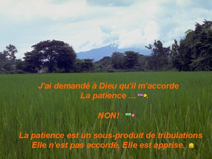 J'ai demandé à Dieu qu'il m'accorde La patience … NON! La patience est un