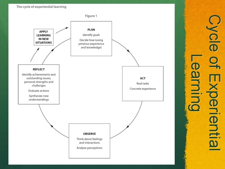 Cycle of Experiential L e a rn i n g 