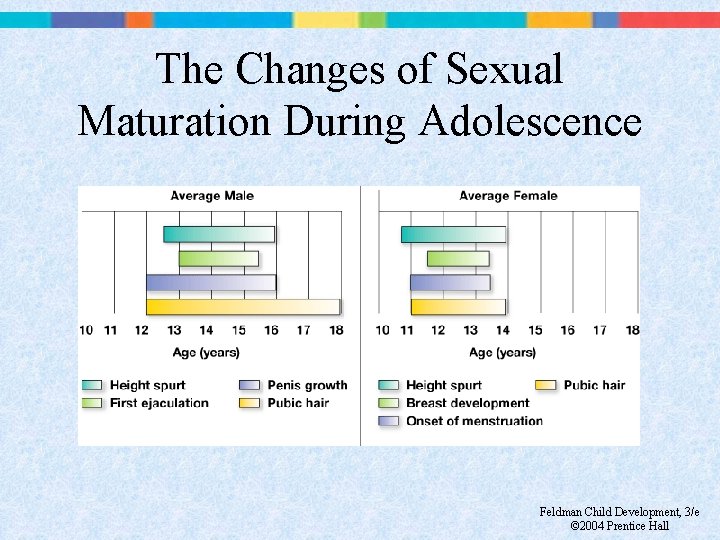 The Changes of Sexual Maturation During Adolescence Feldman Child Development, 3/e © 2004 Prentice