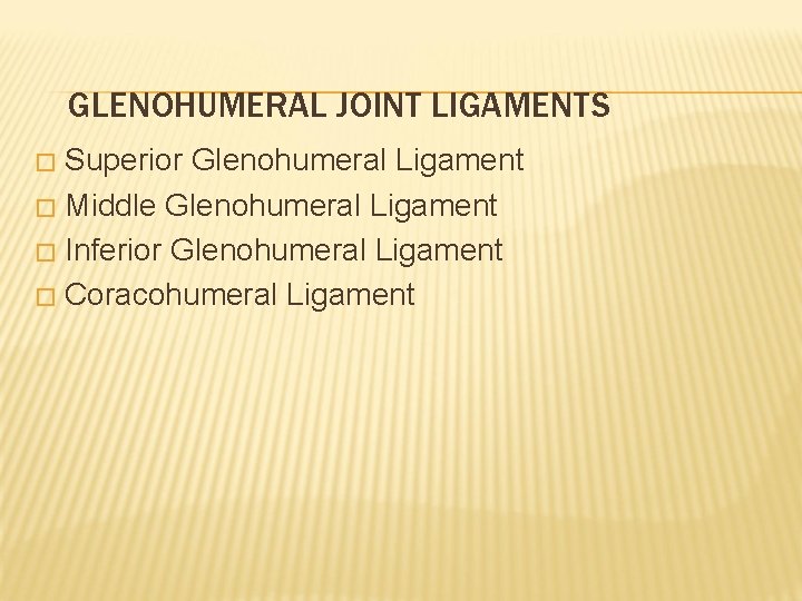 GLENOHUMERAL JOINT LIGAMENTS Superior Glenohumeral Ligament � Middle Glenohumeral Ligament � Inferior Glenohumeral Ligament