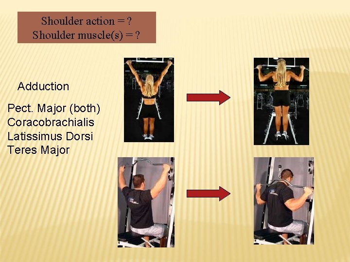 Shoulder action = ? Shoulder muscle(s) = ? Adduction Pect. Major (both) Coracobrachialis Latissimus