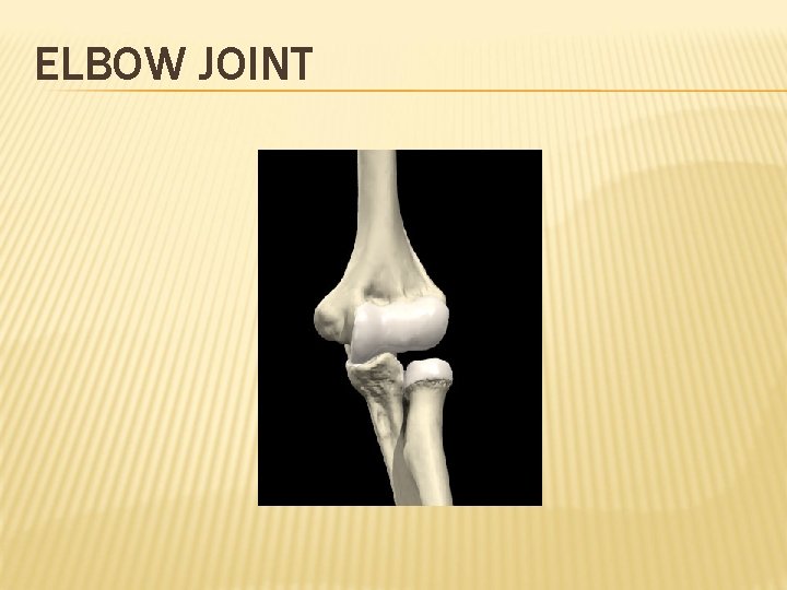 ELBOW JOINT 
