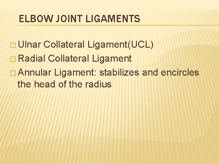 ELBOW JOINT LIGAMENTS � Ulnar Collateral Ligament(UCL) � Radial Collateral Ligament � Annular Ligament: